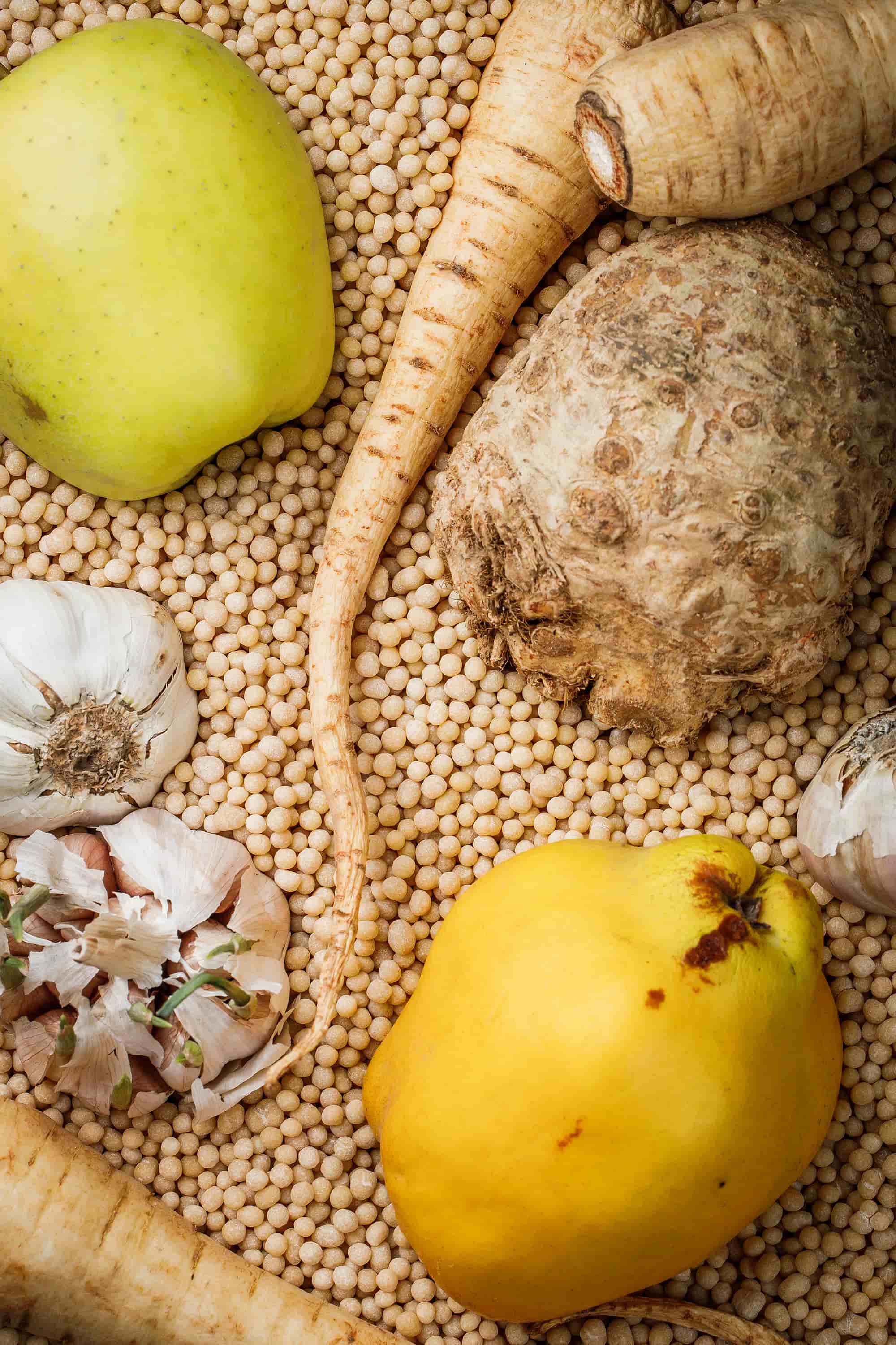 100 rokiv tomu vpered